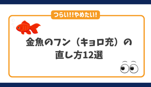 つらいキョロ充（金魚のフン）をやめたい・直したい人におすすめの直し方12選