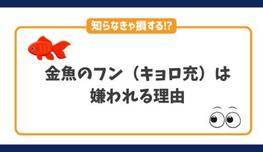 【知らなきゃ損する】キョロ充（金魚のフン）は陽キャ・陰キャに嫌われる理由5選